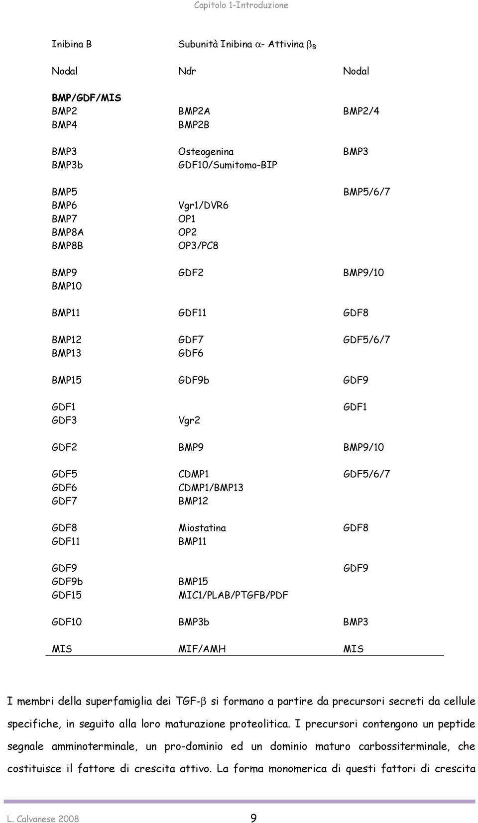 GDF7 BMP12 GDF8 Miostatina GDF8 GDF11 BMP11 GDF9 GDF9b GDF15 BMP15 MIC1/PLAB/PTGFB/PDF GDF9 GDF10 BMP3b BMP3 MIS MIF/AMH MIS I membri della superfamiglia dei TGF-β si formano a partire da precursori