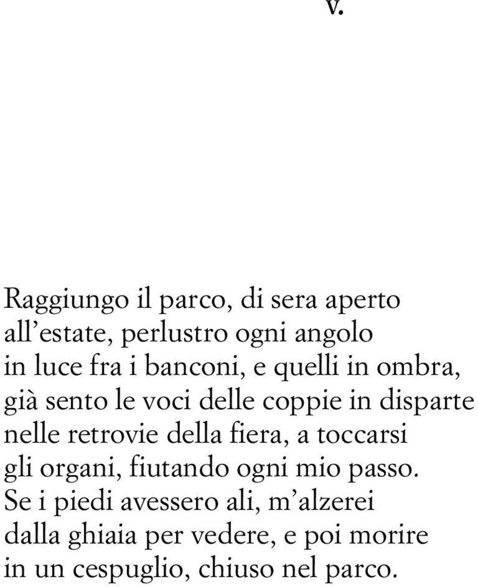 retrovie della fiera, a toccarsi gli organi, fiutando ogni mio passo.