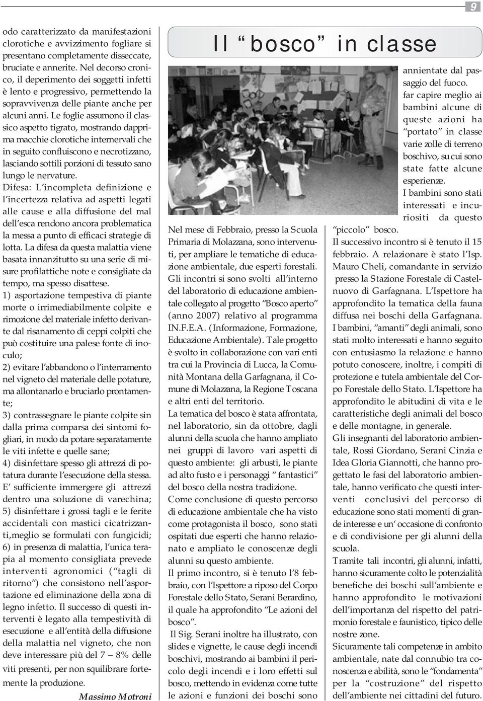 Le foglie assumono il classico aspetto tigrato, mostrando dapprima macchie clorotiche internervali che in seguito confluiscono e necrotizzano, lasciando sottili porzioni di tessuto sano lungo le