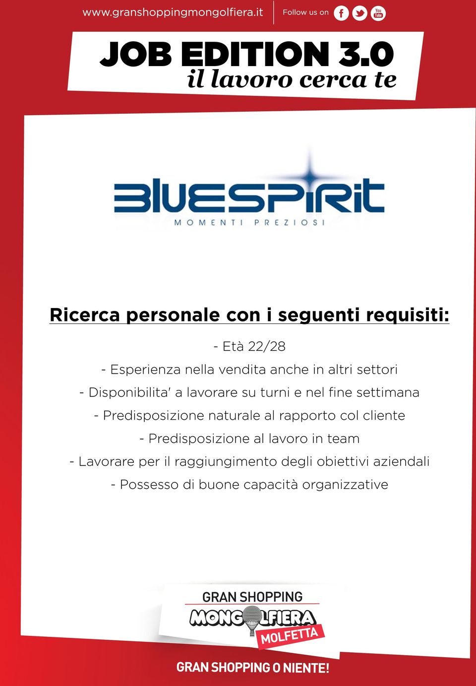 Predisposizione naturale al rapporto col cliente - Predisposizione al lavoro in team -