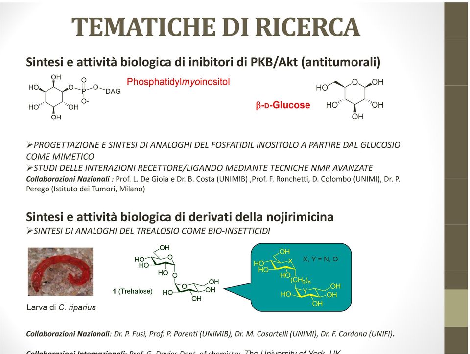 Costa (UNIMIB),Prof. F. Ronchetti, D. Colombo (UNIMI), Dr. P.