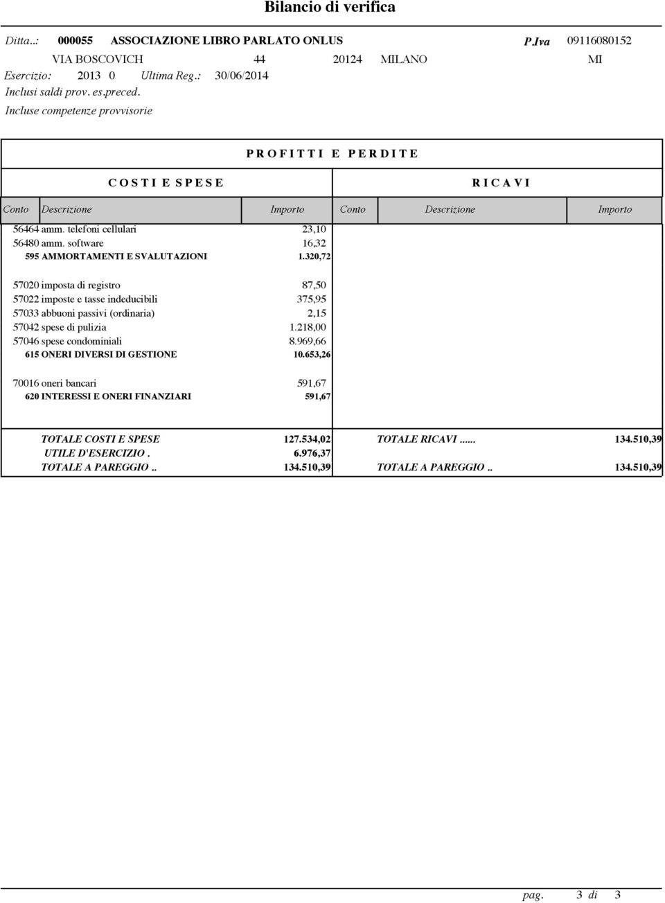 software 16,32 595 AMMORTAMENTI E SVALUTAZIONI 1.320,72 57020 imposta di registro 87,50 57022 imposte e tasse indeducibili 375,95 57033 abbuoni passivi (ordinaria 2,15 57042 spese di pulizia 1.