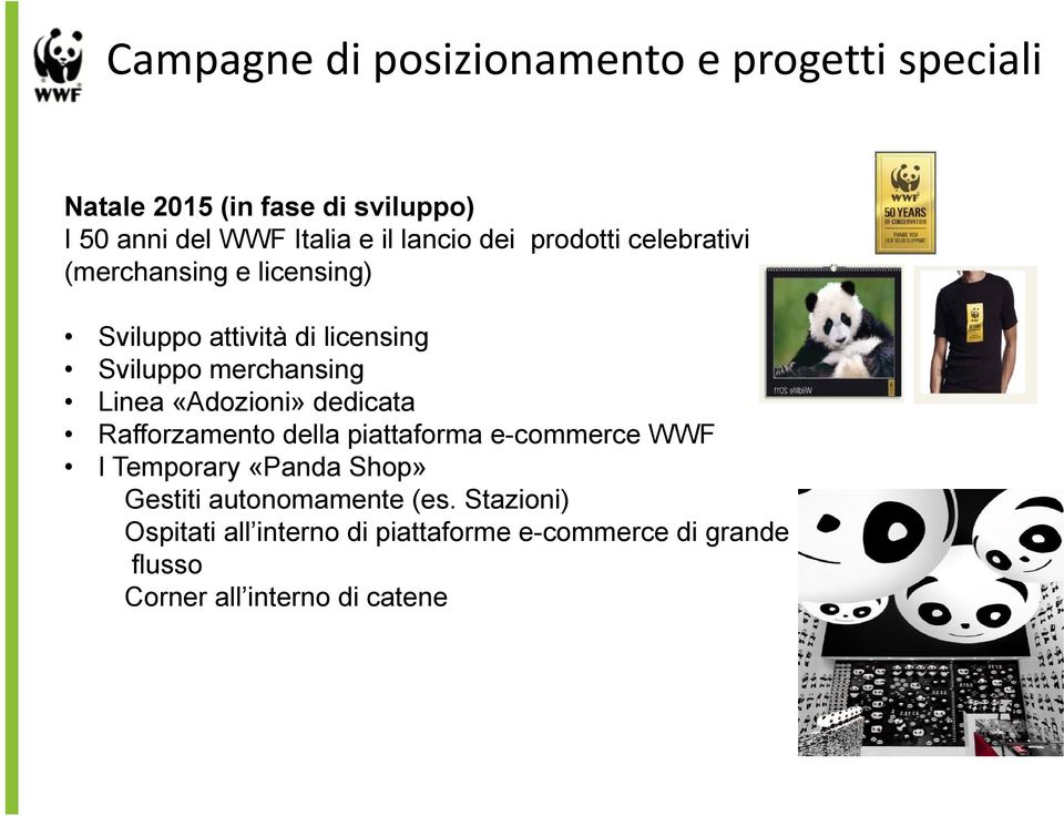 Linea «Adozioni» dedicata Rafforzamento della piattaforma e-commerce WWF I Temporary «Panda Shop» Gestiti