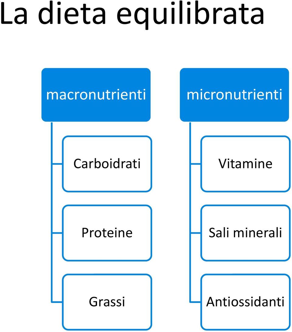 micronutrienti Carboidrati