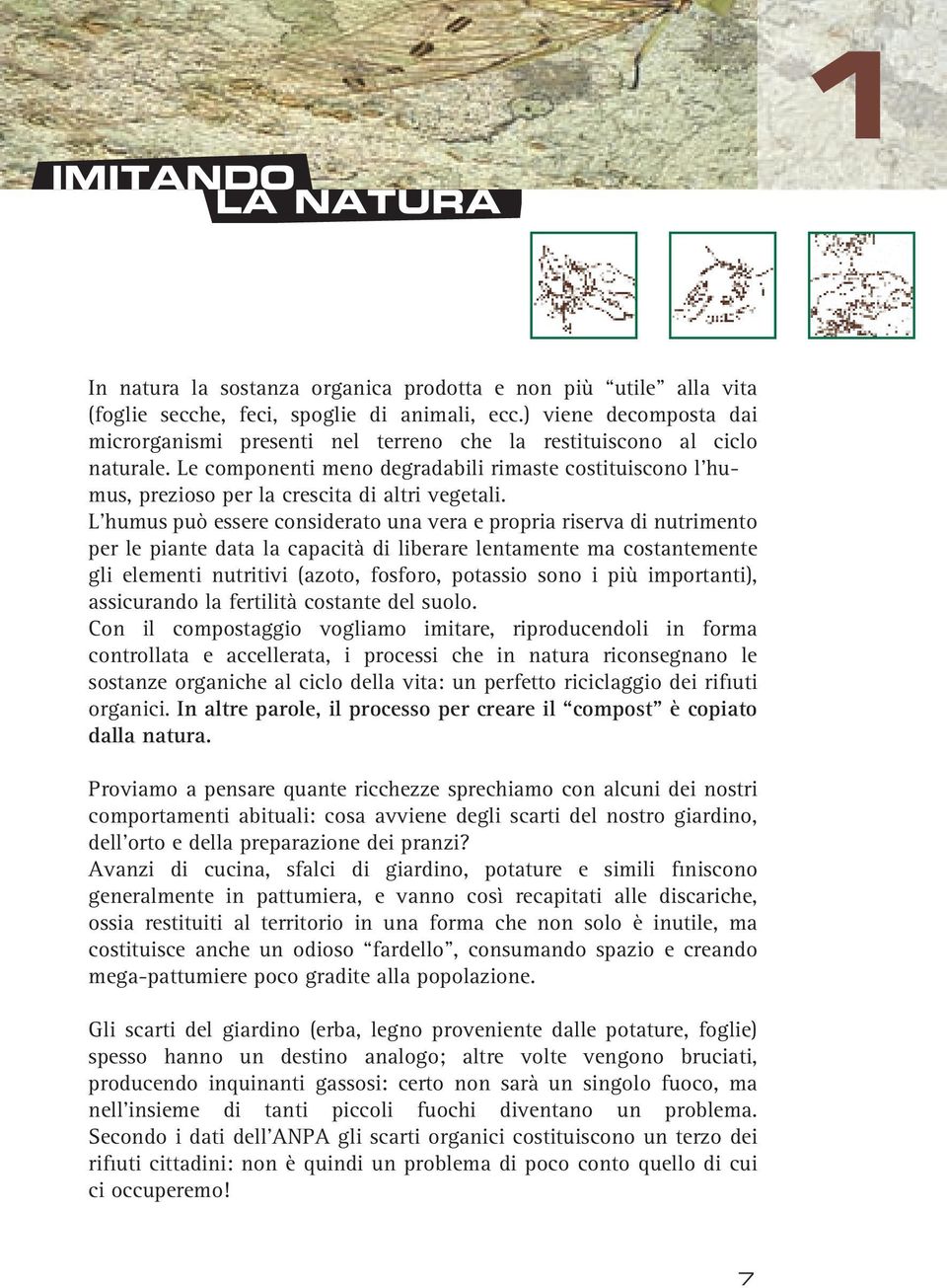 Le componenti meno degradabili rimaste costituiscono l humus, prezioso per la crescita di altri vegetali.