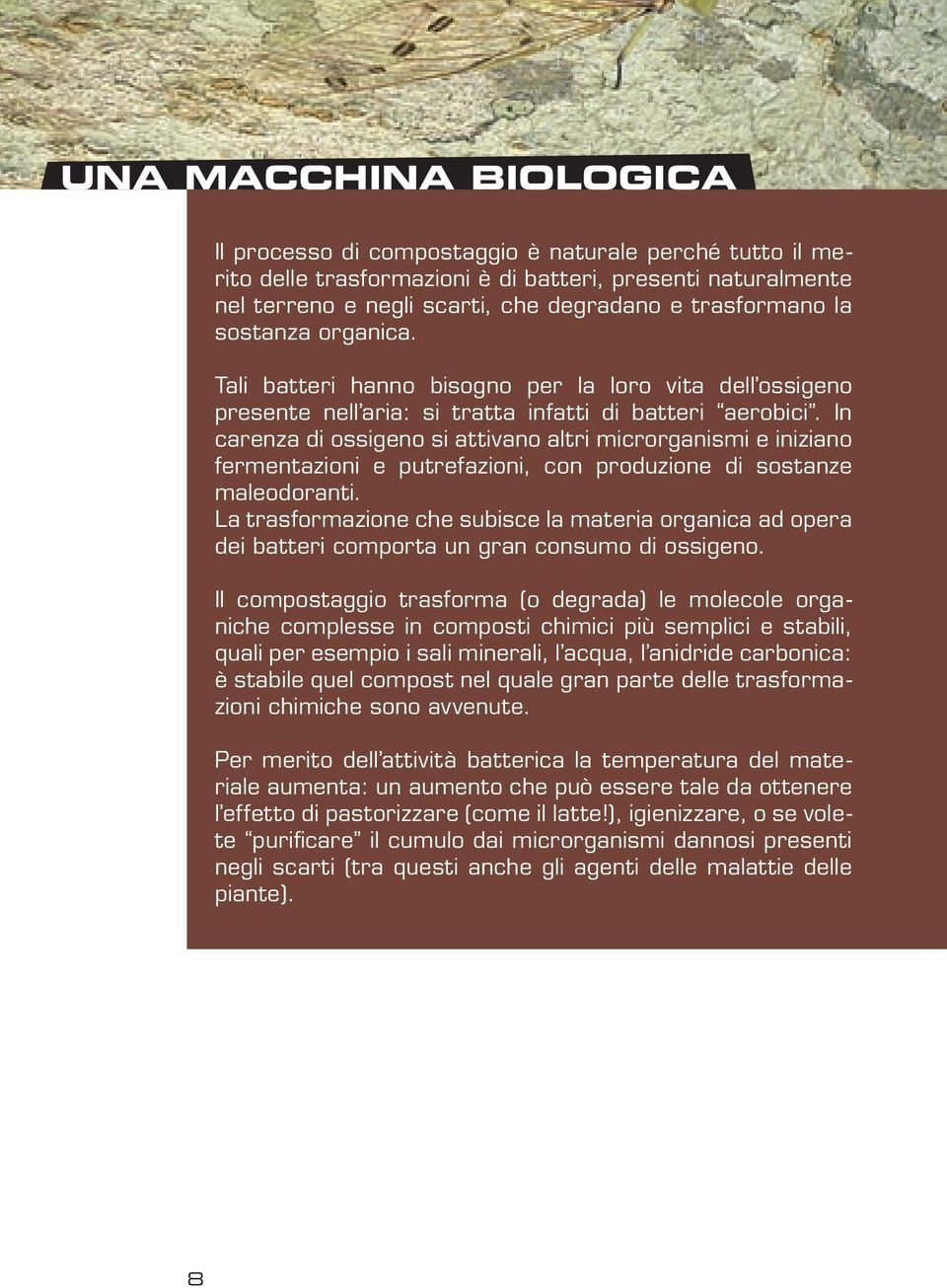 In carenza di ossigeno si attivano altri microrganismi e iniziano fermentazioni e putrefazioni, con produzione di sostanze maleodoranti.