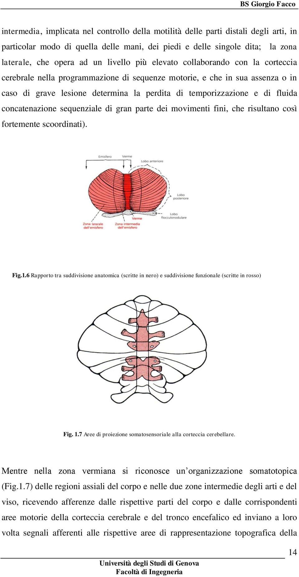 concatenazione sequenziale di gran parte dei movimenti fini, che risultano così fortemente scoordinati). Fig.1.