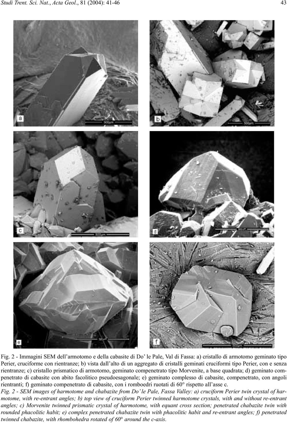 geminati cruciformi tipo Perier, con e senza rientranze; c) cristallo prismatico di armotomo, geminato compenetrato tipo Morvenite, a base quadrata; d) geminato compenetrato di cabasite con abito