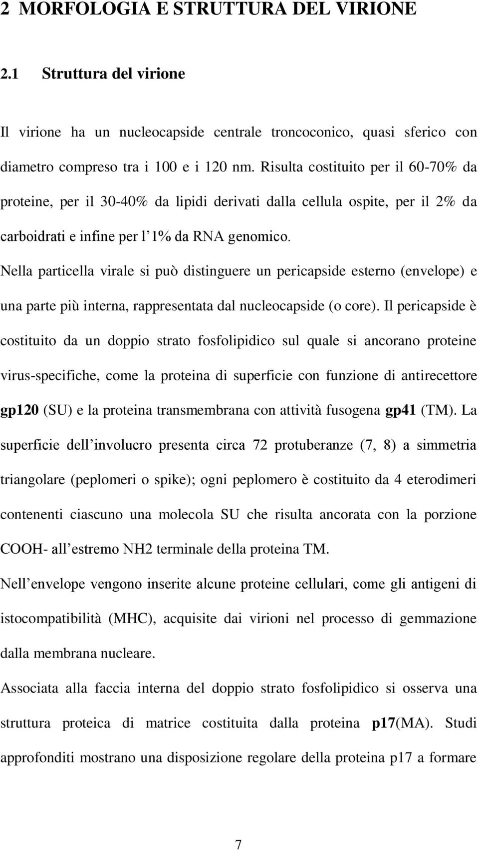 Nella particella virale si può distinguere un pericapside esterno (envelope) e una parte più interna, rappresentata dal nucleocapside (o core).