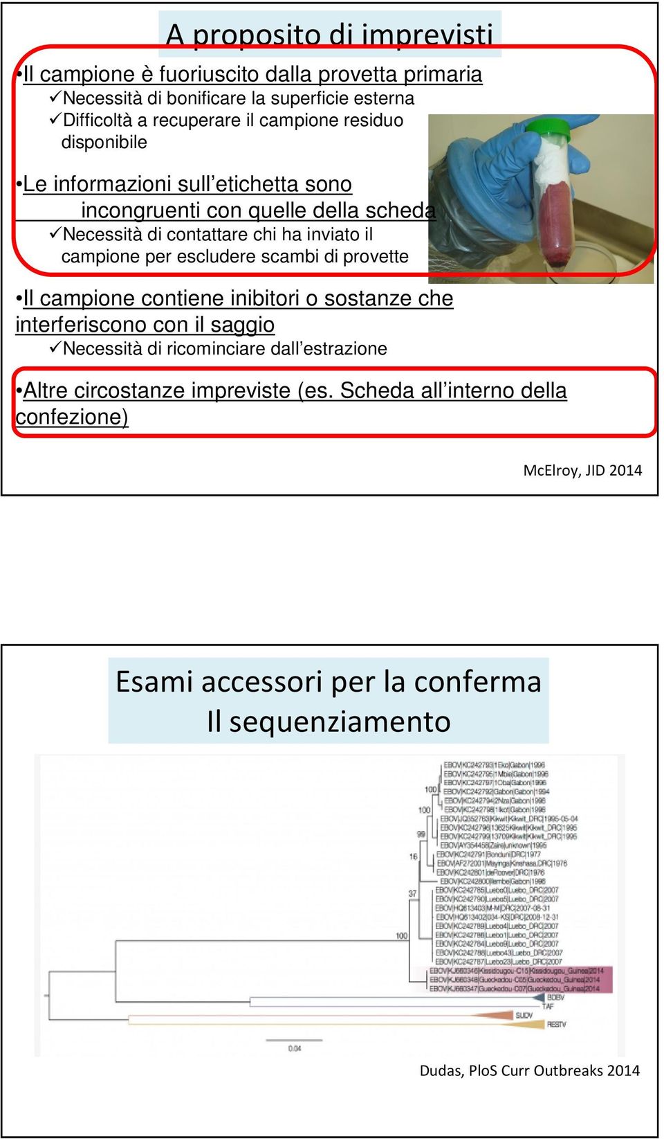 per escludere scambi di provette Il campione contiene inibitori o sostanze che interferiscono con il saggio Necessità di ricominciare dall estrazione Altre