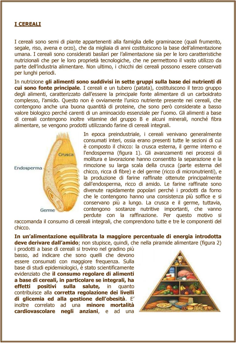 I cereali sono considerati basilari per l alimentazione sia per le loro caratteristiche nutrizionali che per le loro proprietà tecnologiche, che ne permettono il vasto utilizzo da parte dell