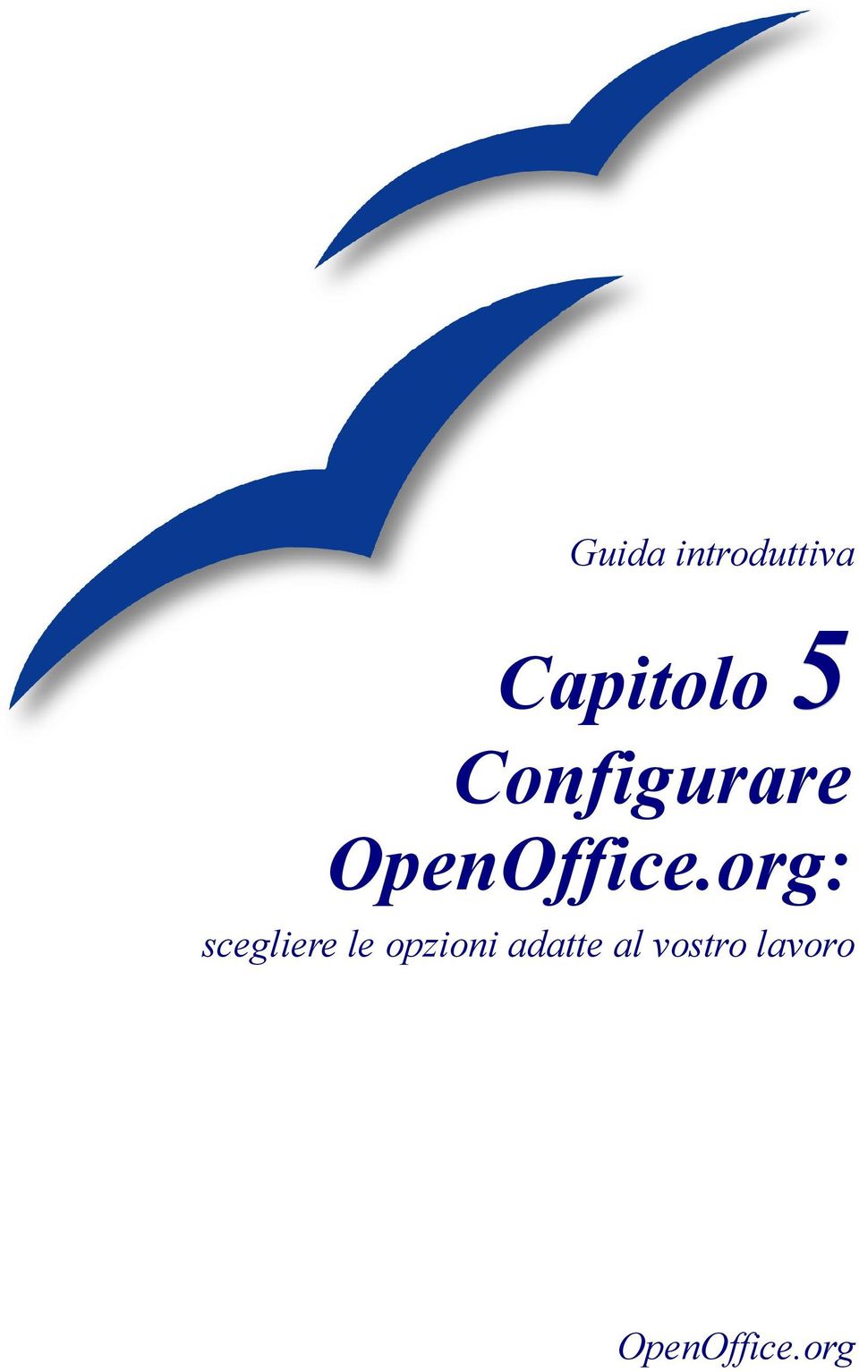 org: scegliere le opzioni