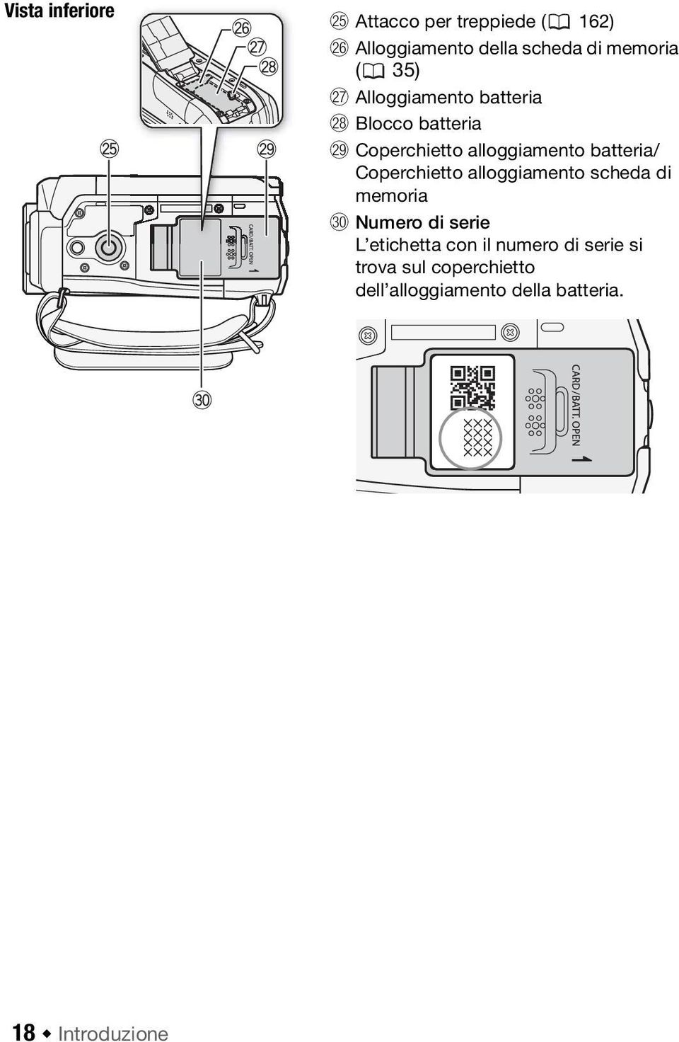 batteria/ Coperchietto alloggiamento scheda di memoria Dq Numero di serie L etichetta