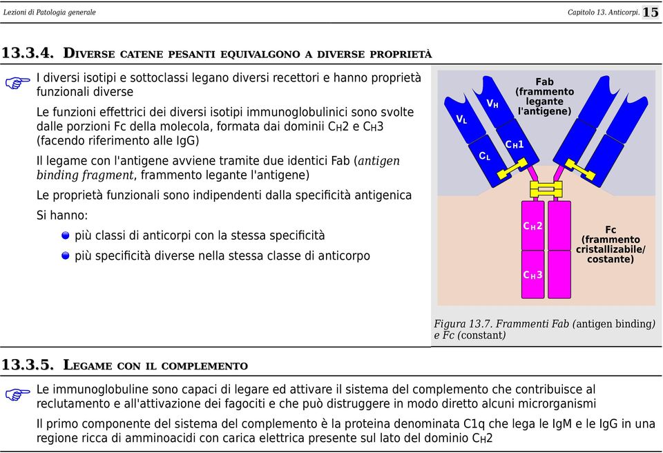 immunoglobulinici sono svolte dalle porzioni c della molecola, formata dai dominii CH2 e CH3 (facendo riferimento alle IgG) Il legame con l'antigene avviene tramite due identici ab (antigen binding