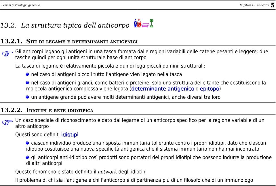 l'antigene vien legato nella tasca nel caso di antigeni grandi, come batteri o proteine, solo una struttura delle tante che costituiscono la molecola antigenica complessa viene legata (determinante