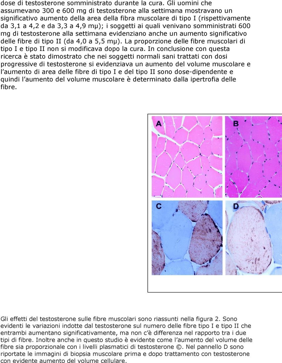 i soggetti ai quali venivano somministrati 600 mg di testosterone alla settimana evidenziano anche un aumento significativo delle fibre di tipo II (da 4,0 a 5,5 mµ).