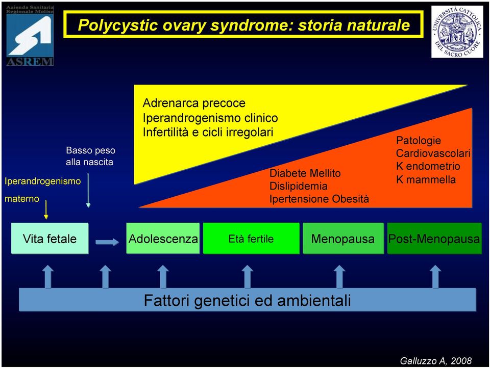 Dislipidemia Ipertensione Obesità Patologie Cardiovascolari K endometrio K mammella Vita