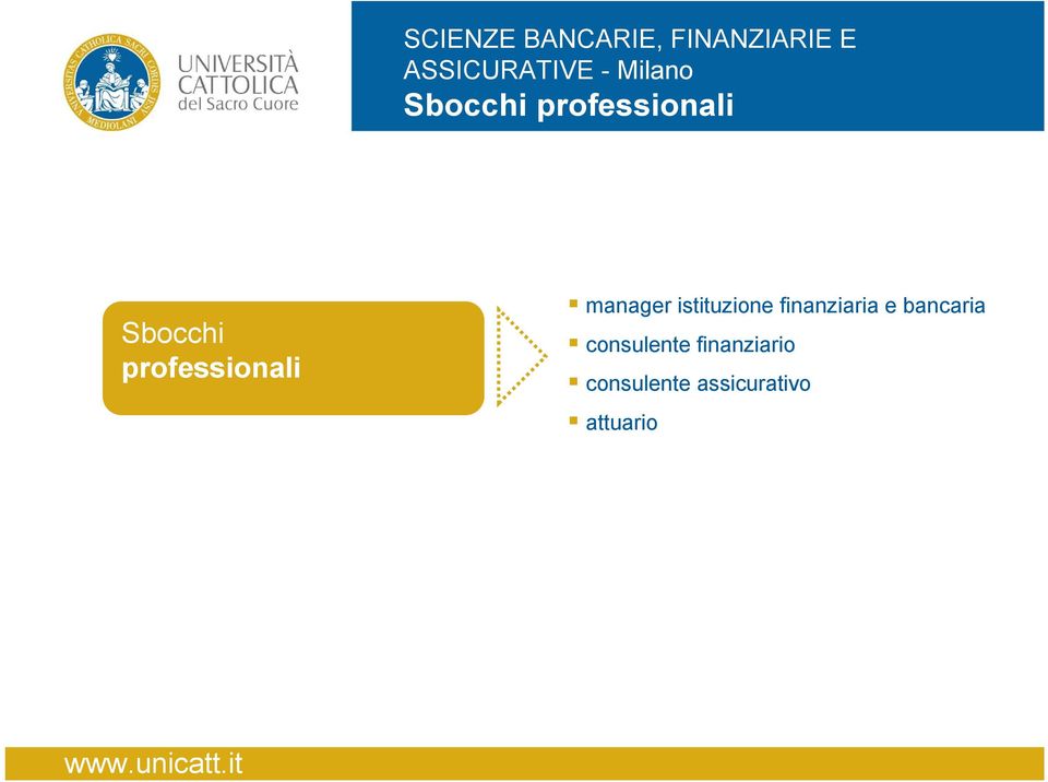 professionali manager istituzione finanziaria e