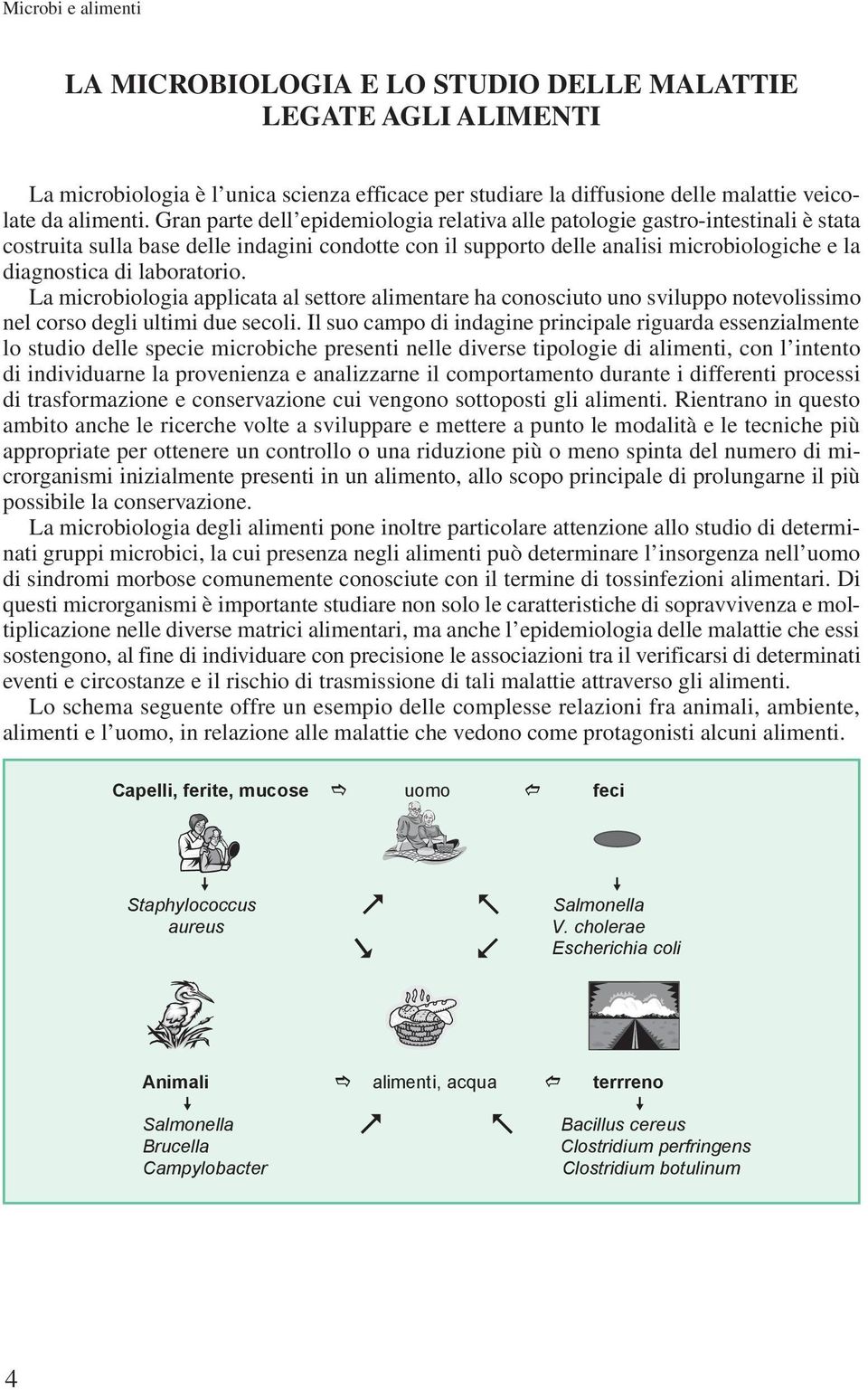 laboratorio. La microbiologia applicata al settore alimentare ha conosciuto uno sviluppo notevolissimo nel corso degli ultimi due secoli.