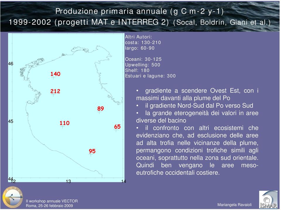 Est, con i massimi davanti alla plume del Po il gradiente Nord-Sud dal Po verso Sud la grande eterogeneità dei valori in aree diverse del bacino il confronto con altri