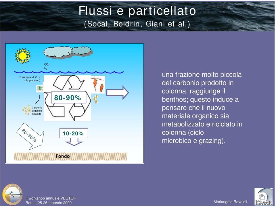 10-20% una frazione molto piccola del carbonio prodotto in colonna raggiunge il benthos;