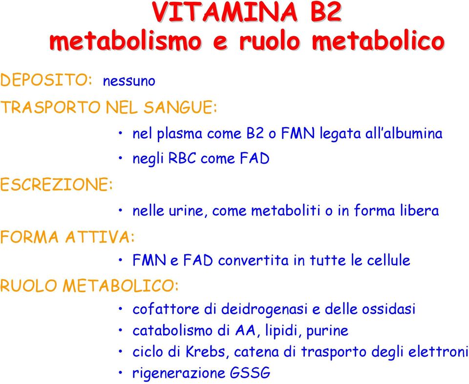 FORMA ATTIVA: FMN e FAD convertita in tutte le cellule RUOLO METABOLICO: cofattore di deidrogenasi e delle