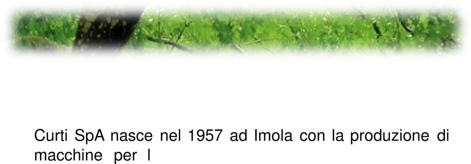 Negli anni successivi l azienda si specializza nella produzione di componenti per la difesa, nelle