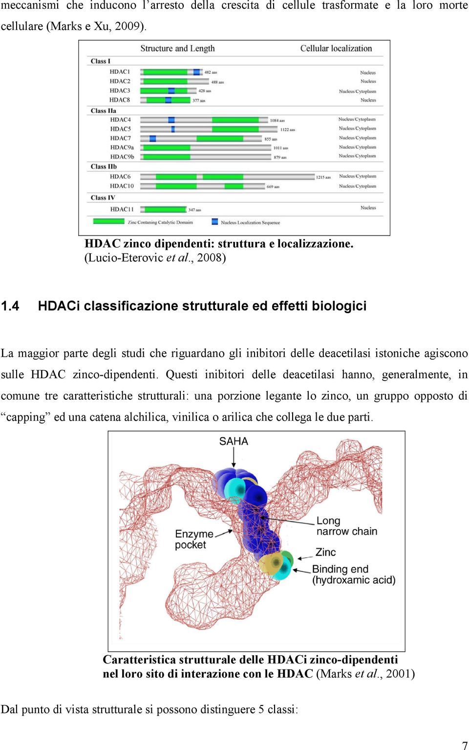 Questi inibitori delle deacetilasi hanno, generalmente, in comune tre caratteristiche strutturali: una porzione legante lo zinco, un gruppo opposto di capping ed una catena alchilica, vinilica o