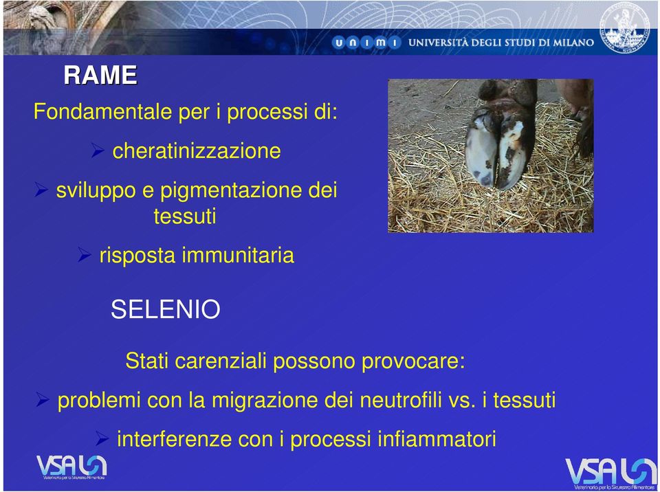 carenziali possono provocare: problemi con la migrazione dei