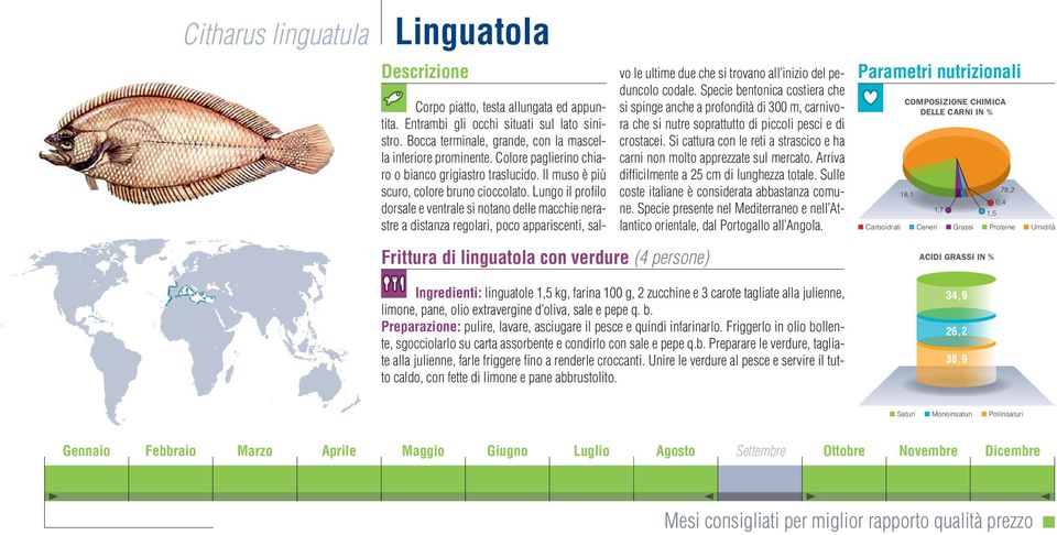 Lungo il profilo dorsale e trale si notano delle macchie nerastre a distanza regolari, poco appariscenti, salvo le ultime due che si trovano all inizio del peduncolo codale.