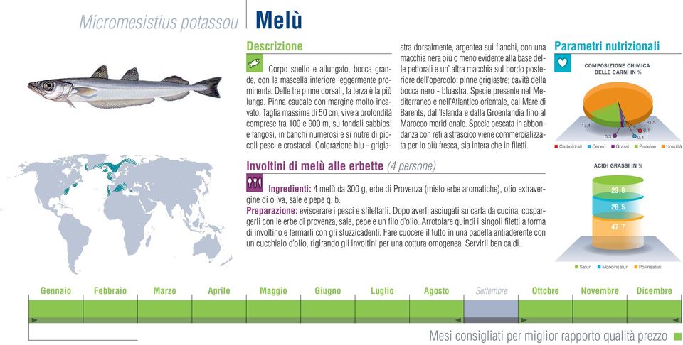 Colorazione blu - grigiastra dorsalmente, argentea sui fianchi, con una macchia nera più o meno evidente alla base delle pettorali e un altra macchia sul bordo posteriore dell opercolo; pinne