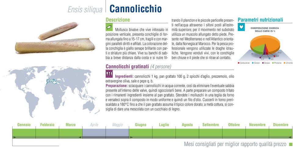 Vive su banchi di bia a breve distanza dalla costa e si nutre filtrando il plancton e le piccole particelle presenti nell acqua attraverso i sifoni posti all estremità superiore; per il movimento nel