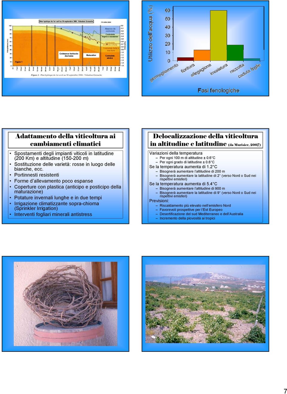 (Sprinkler Irrigation) Interventi fogliari minerali antistress Delocalizzazione della viticoltura in altitudine e latitudine (da Murisier, 2007) Variazioni della temperatura Per ogni 00 m di