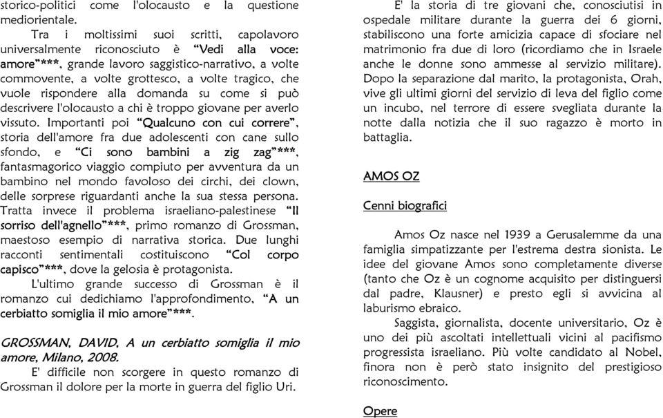 vuole rispondere alla domanda su come si può descrivere l'olocausto a chi è troppo giovane per averlo vissuto.