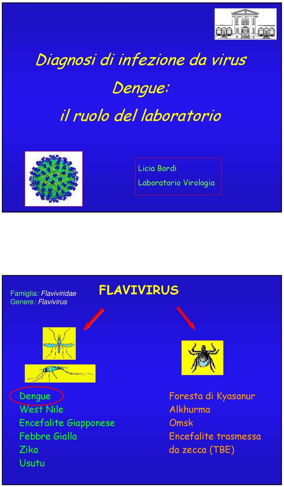 FLAVIVIRUS Dengue West Nile Encefalite Giapponese Febbre Gialla Zika