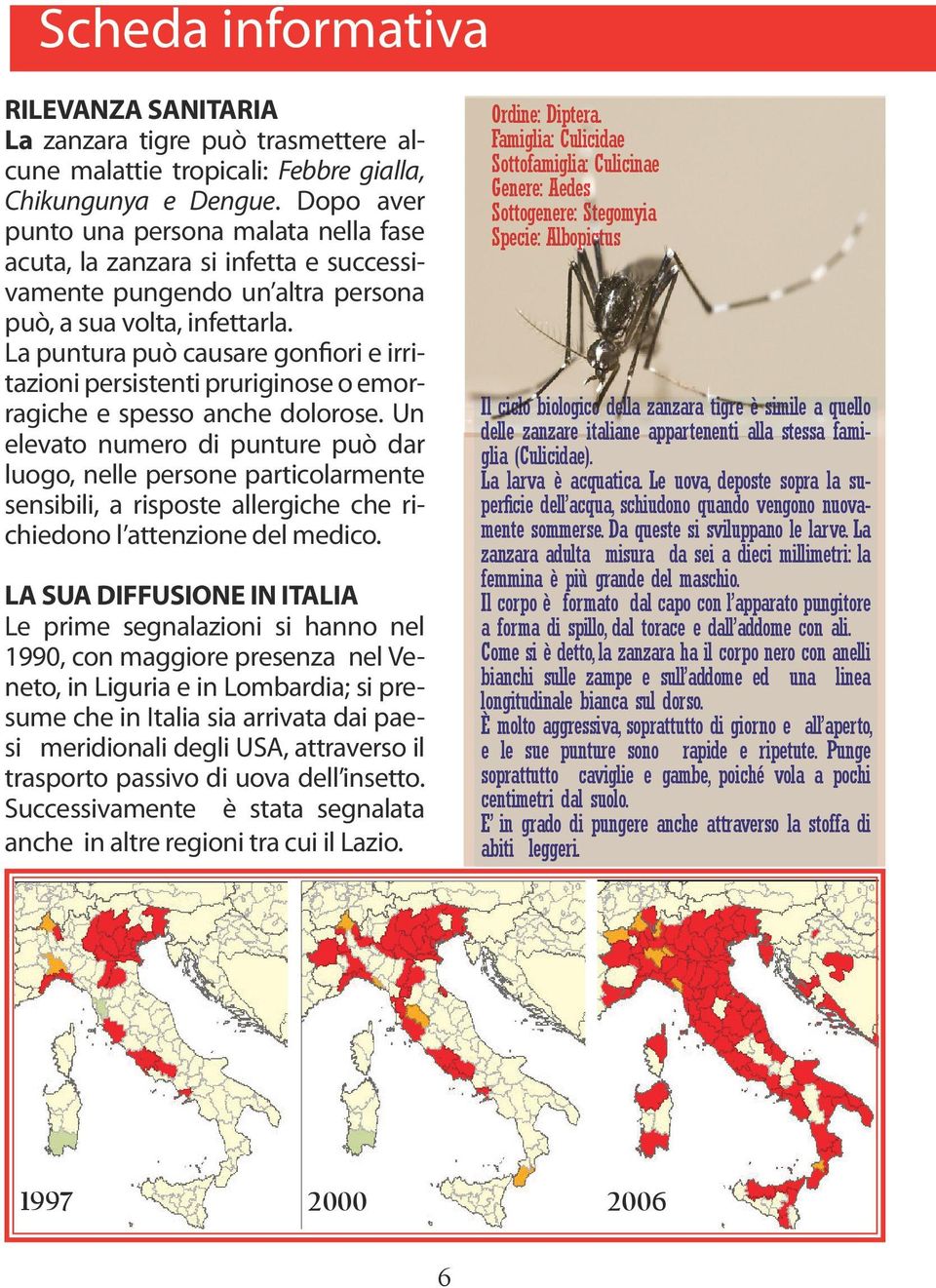 La puntura può causare gonfiori e irritazioni persistenti pruriginose o emorragiche e spesso anche dolorose.