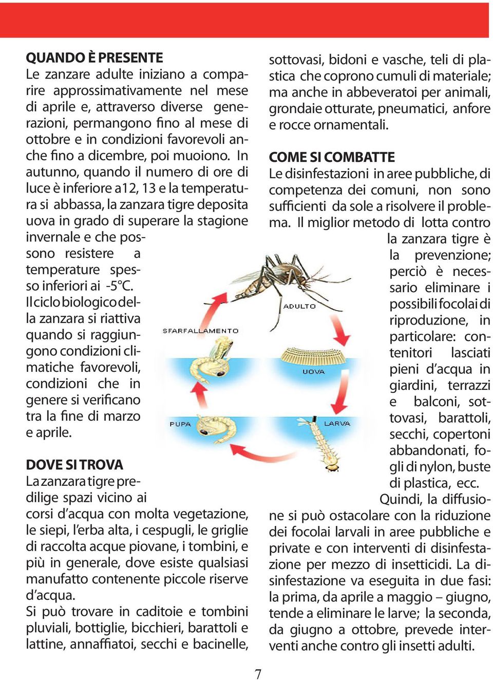 In autunno, quando il numero di ore di luce è inferiore a12, 13 e la temperatura si abbassa, la zanzara tigre deposita uova in grado di superare la stagione invernale e che possono resistere a