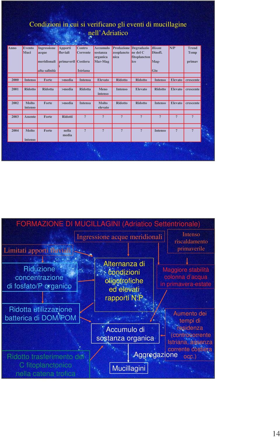 Temp organica nica fitoplancton meridionali primaveril Costiera Mar-Mag ico Mag- primav i alta salinità Istriana Giu Intenso Forte >media Intensa Elevato Ridotto Ridotto Intenso Elevato crescente