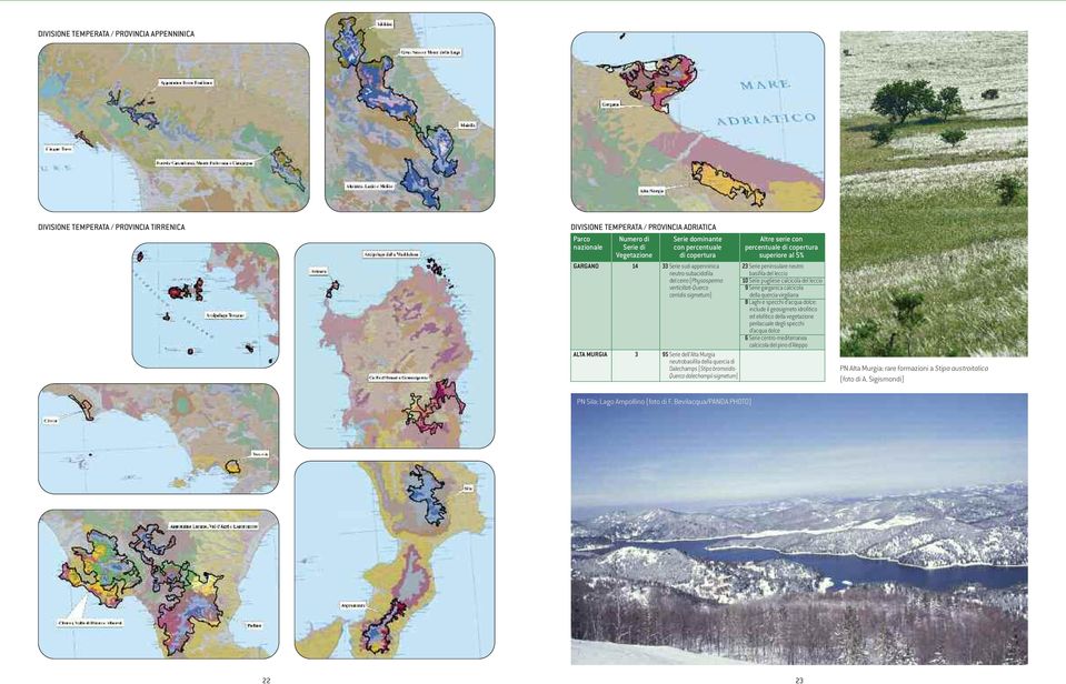 (Physospermo 10 Serie pugliese calcicola del leccio verticillati-querco cerridis sigmetum) AlTA MuRgIA 3 95 Serie dell Alta Murgia neutrobasifila della quercia di Dalechamps (Stipo bromoidis- Querco