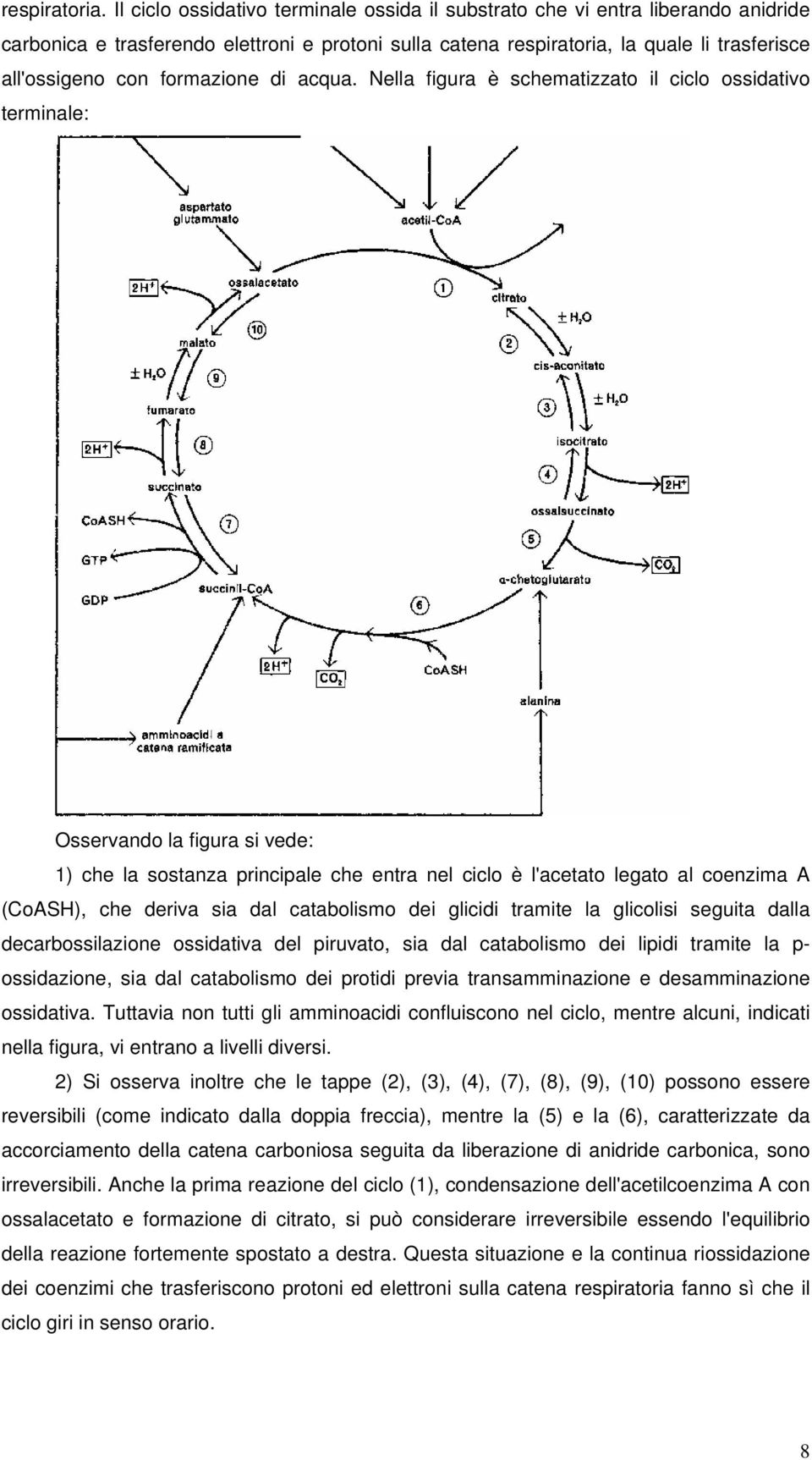 formazione di acqua.