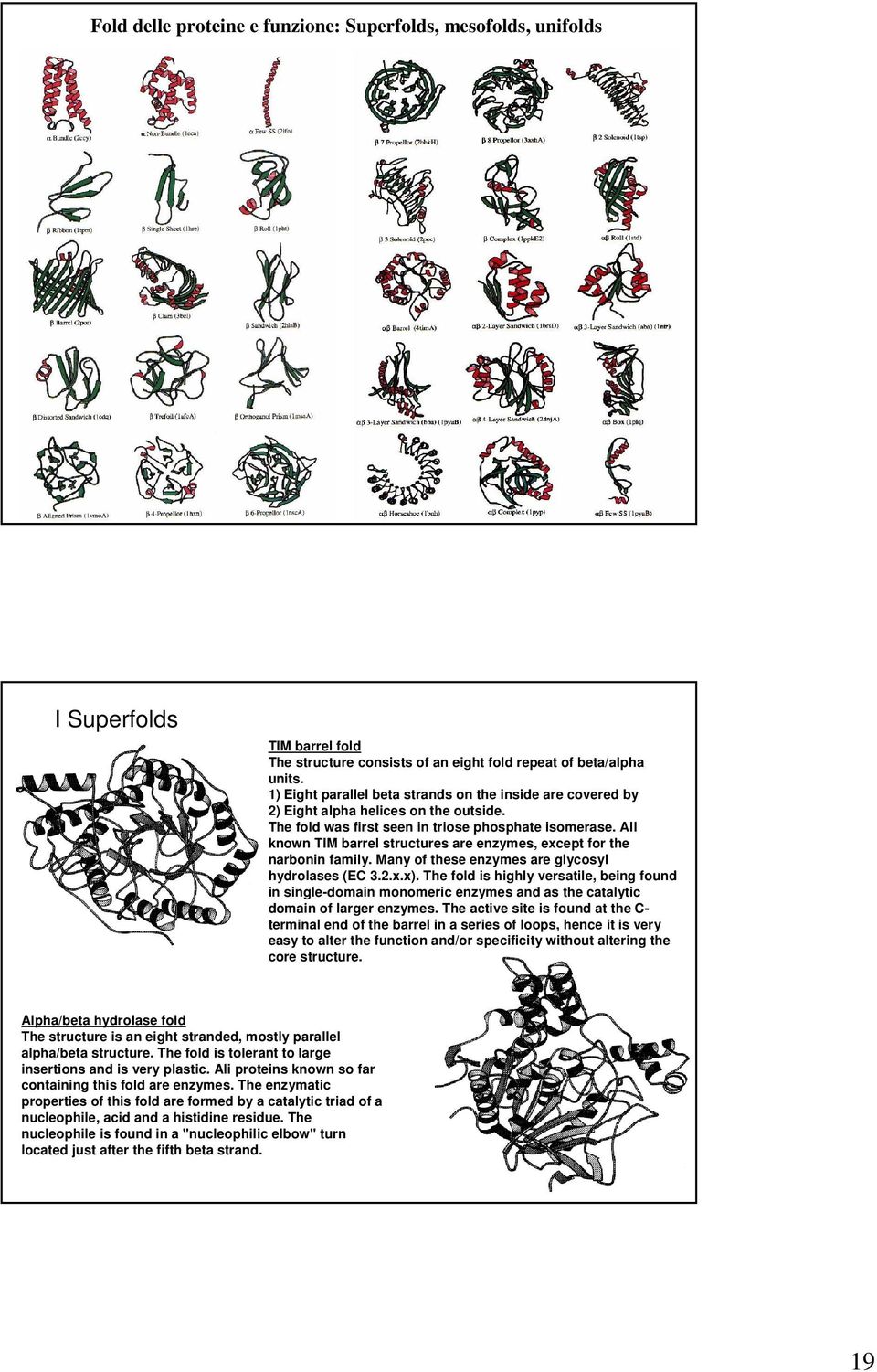 All known TIM barrel structures are enzymes, except for the narbonin family. Many of these enzymes are glycosyl hydrolases (EC 3.2.x.x).