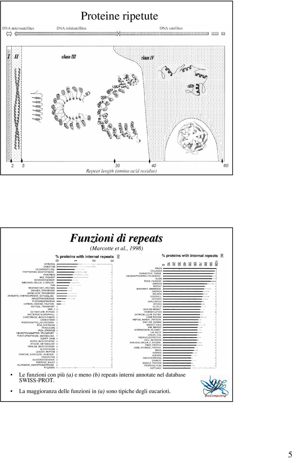 interni annotate nel database SWISS-PROT.