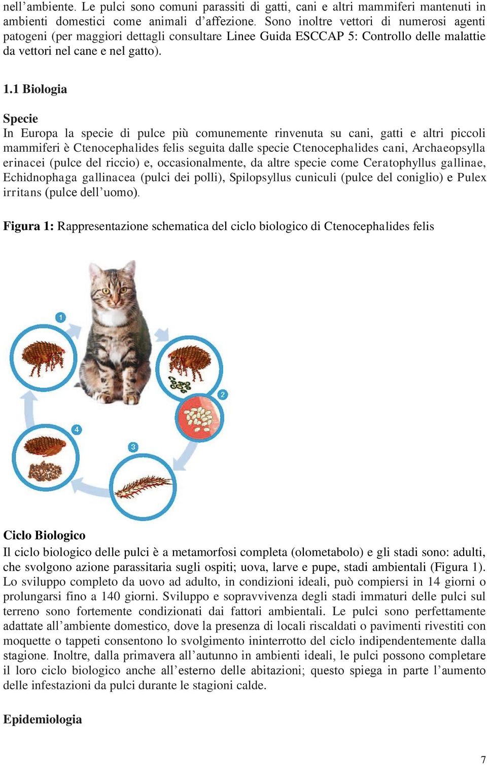 1 Biologia Specie In Europa la specie di pulce più comunemente rinvenuta su cani, gatti e altri piccoli mammiferi è Ctenocephalides felis seguita dalle specie Ctenocephalides cani, Archaeopsylla