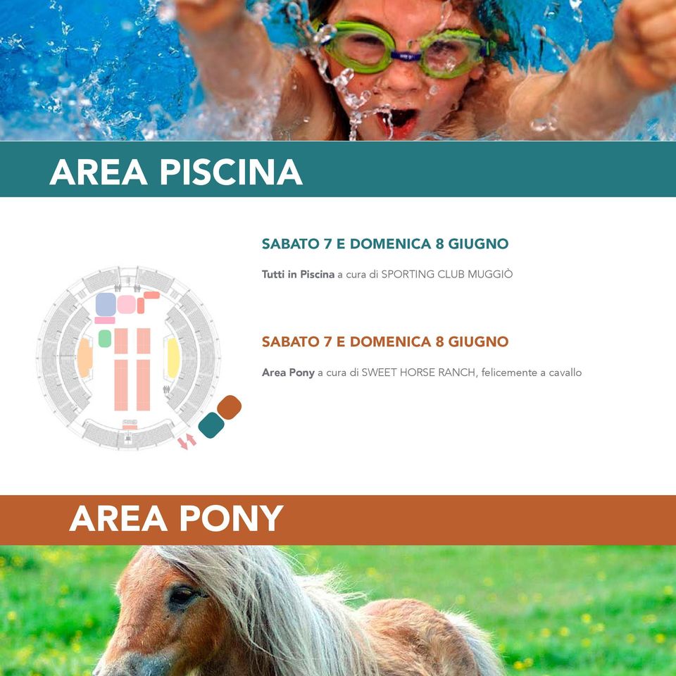 Area Pony a cura di Sweet Horse