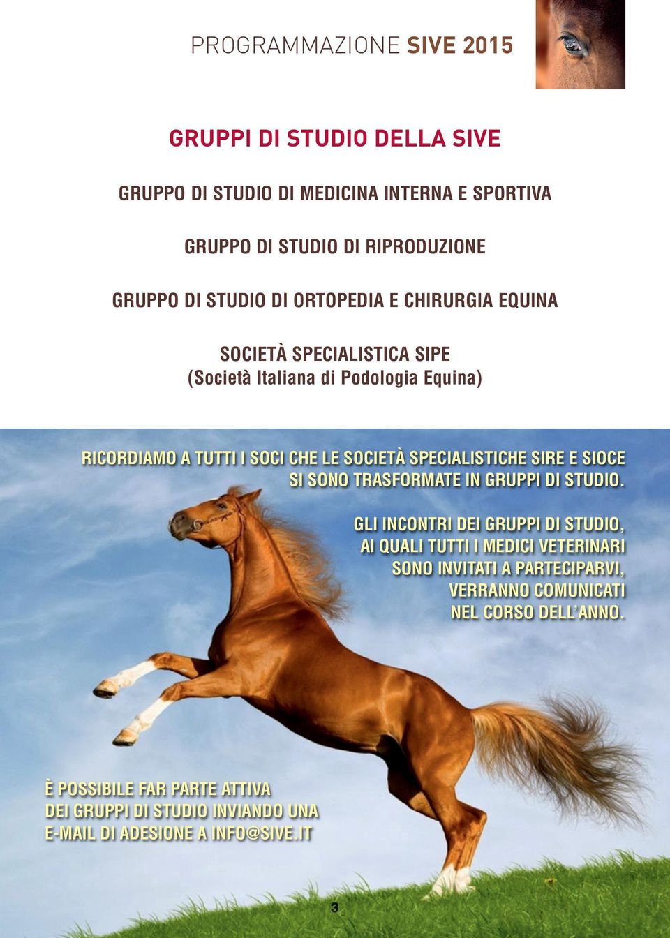 SPECIALISTICHE SIRE E SIOCE SI SONO TRASFORMATE IN GRUPPI DI STUDIO.