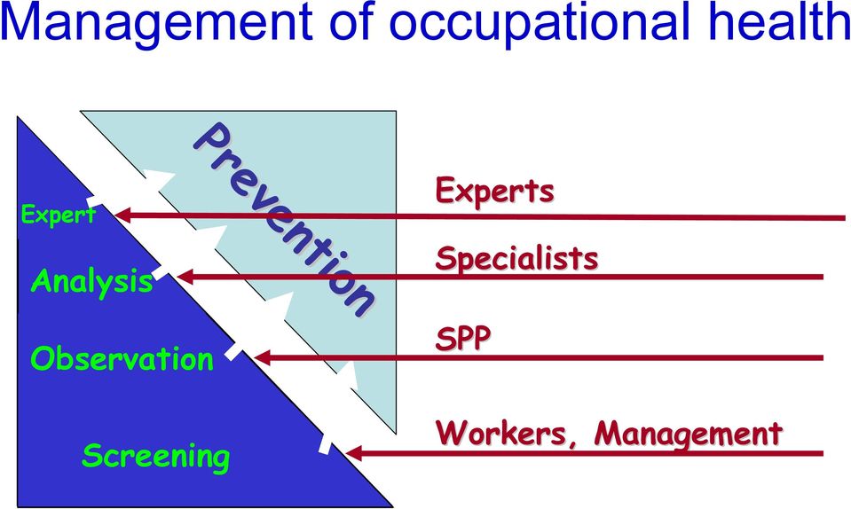 Analysis Observation Screening