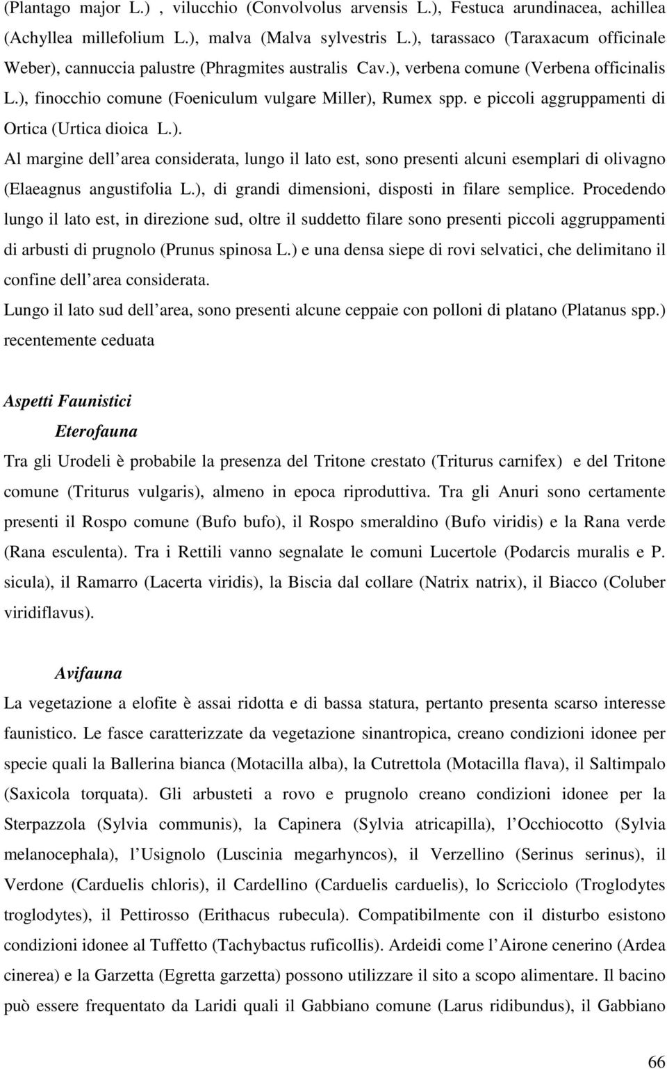 e piccoli aggruppamenti di Ortica (Urtica dioica L.). Al margine dell area considerata, lungo il lato est, sono presenti alcuni esemplari di olivagno (Elaeagnus angustifolia L.