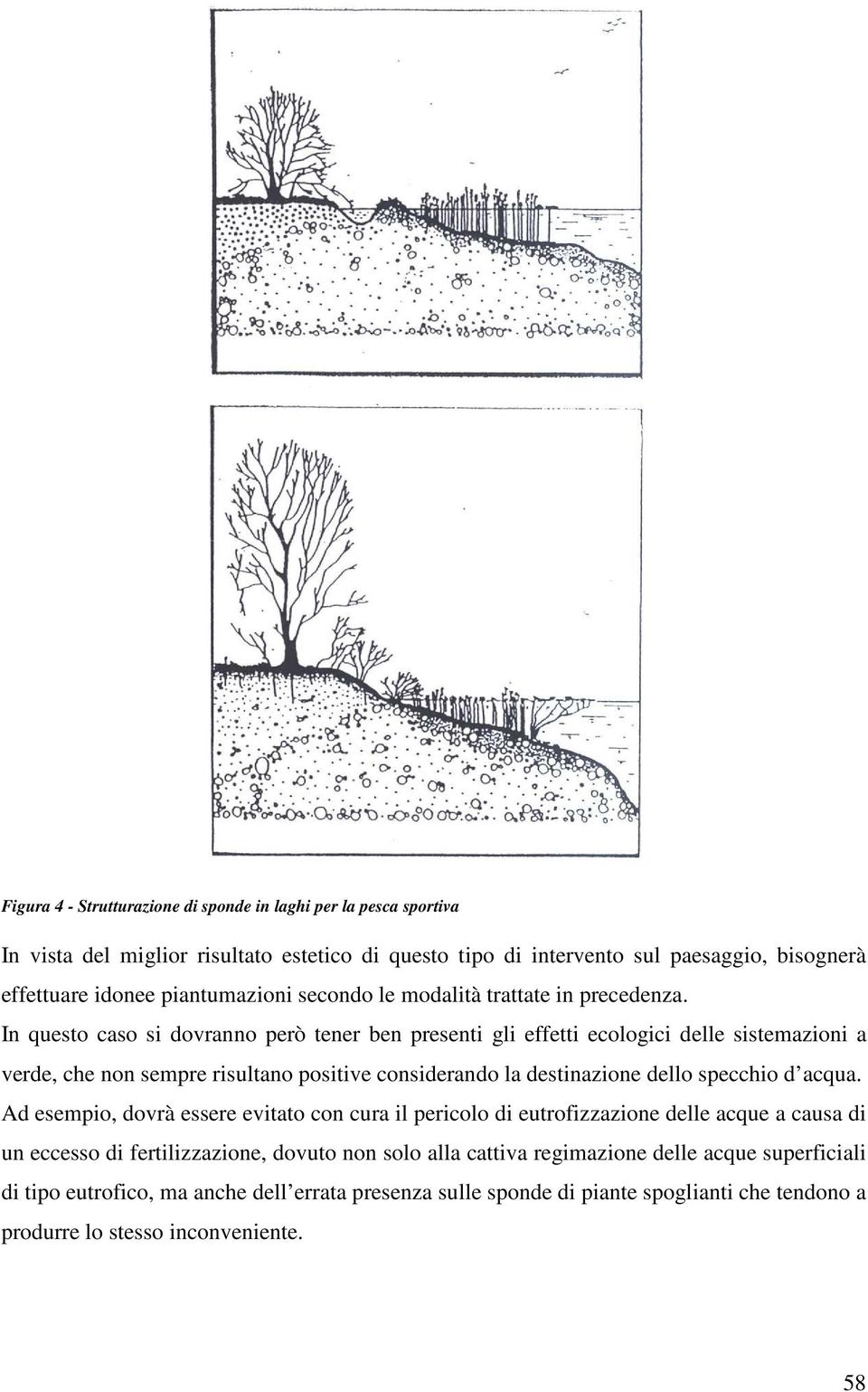 In questo caso si dovranno però tener ben presenti gli effetti ecologici delle sistemazioni a verde, che non sempre risultano positive considerando la destinazione dello specchio d acqua.