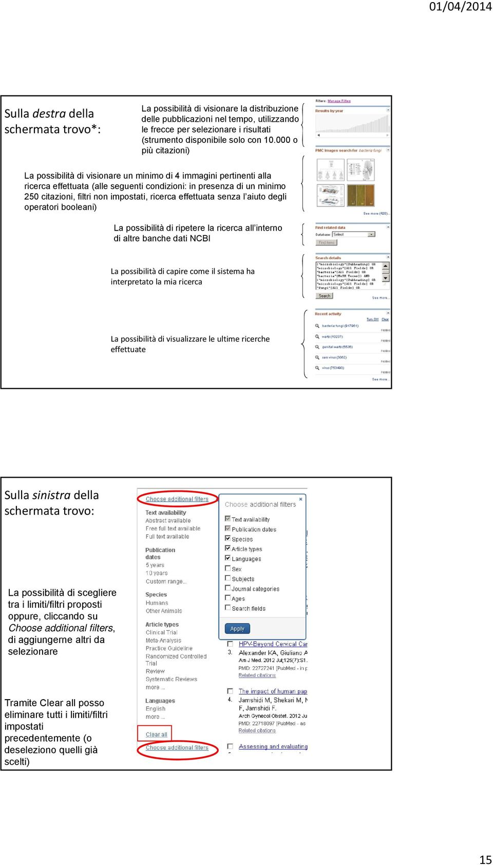 ricerca effettuata senza l aiuto degli operatori booleani) La possibilità di ripetere la ricerca all interno di altre banche dati NCBI La possibilità di capire come il sistema ha interpretato la mia