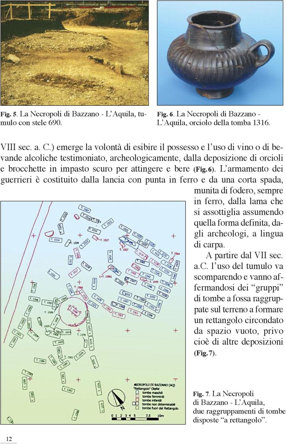 6). L armamento dei guerrieri è costituito dalla lancia con punta in ferro e da una corta spada, munita di fodero, sempre in ferro, dalla lama che si assottiglia assumendo quel la forma definita,